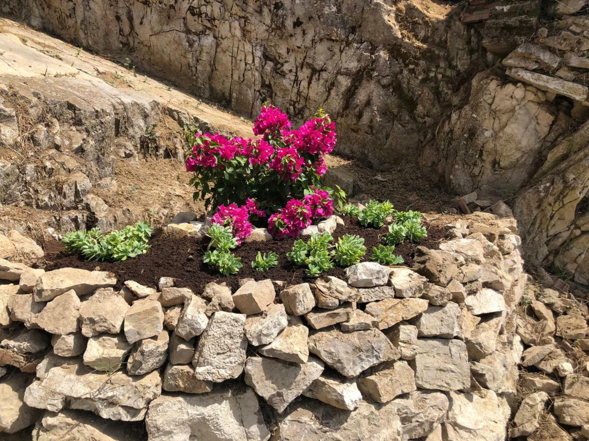 Relais Buona Stella Pimonte